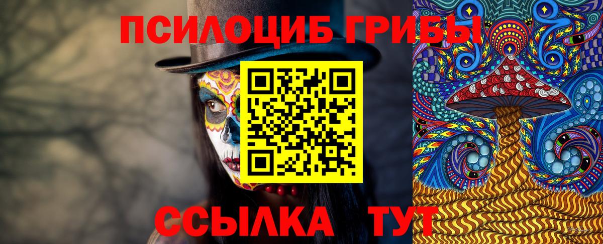 Галлюциногенные грибы мицелий Борзя